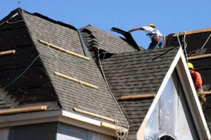 Swan Exteriors Picture 5