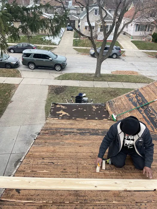 Swan Exteriors Picture 2