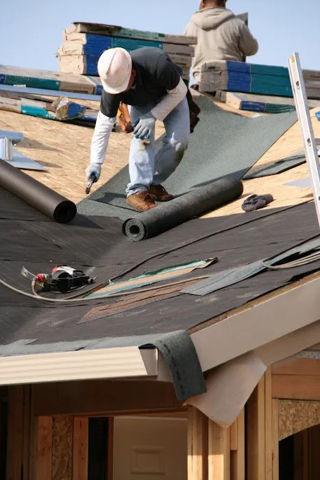 Swan Exteriors Picture 6