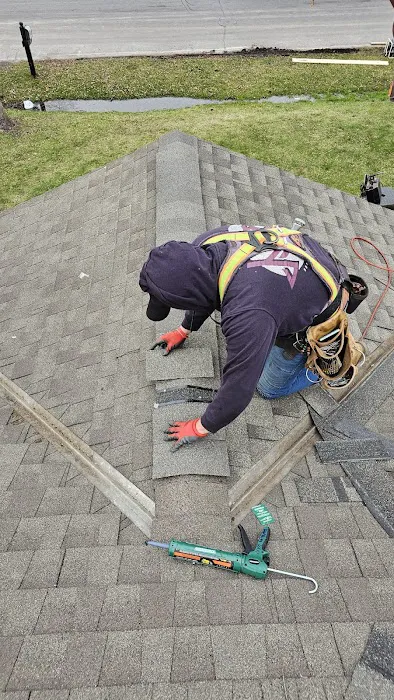 Swan Exteriors Picture 7