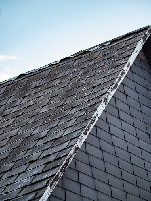 Swan Exteriors Picture 4