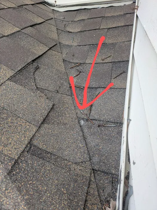 Rhino Exteriors Picture 3