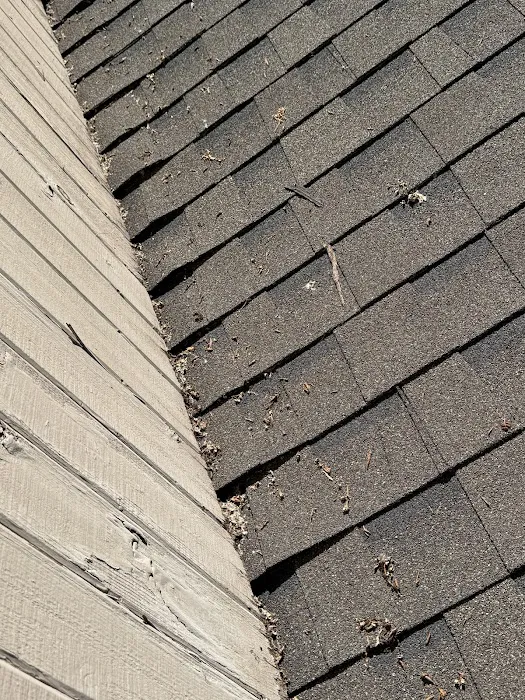 Loyal Exteriors, LLC Picture 1