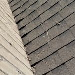 Loyal Exteriors, LLC