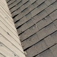 Loyal Exteriors, LLC ico