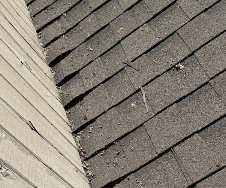 Loyal Exteriors, LLC