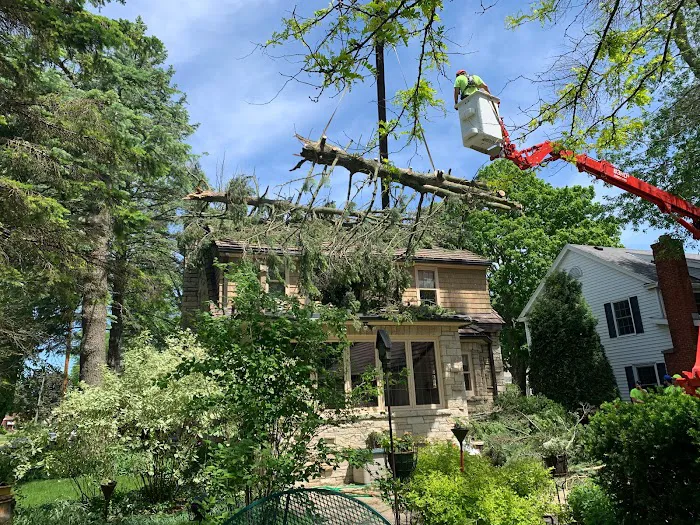 Loyal Exteriors, LLC Picture 10