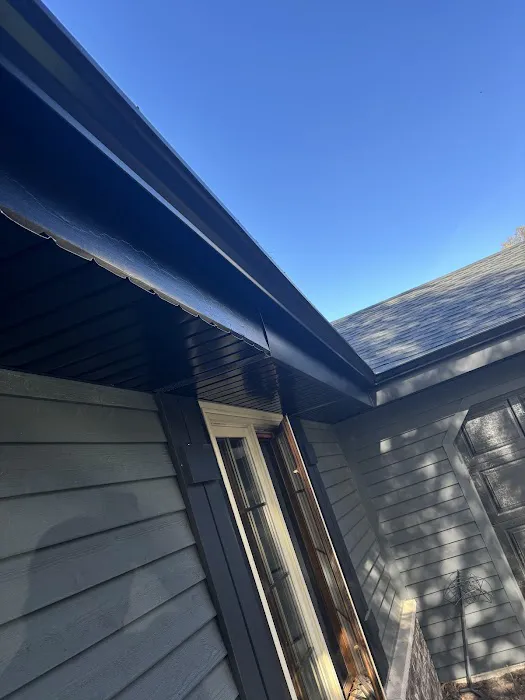 Modern Exterior Roofing Picture 1