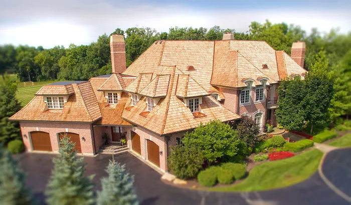 Shake Guys Picture 5