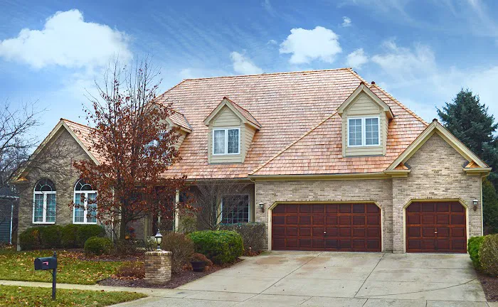 Shake Guys Picture 4