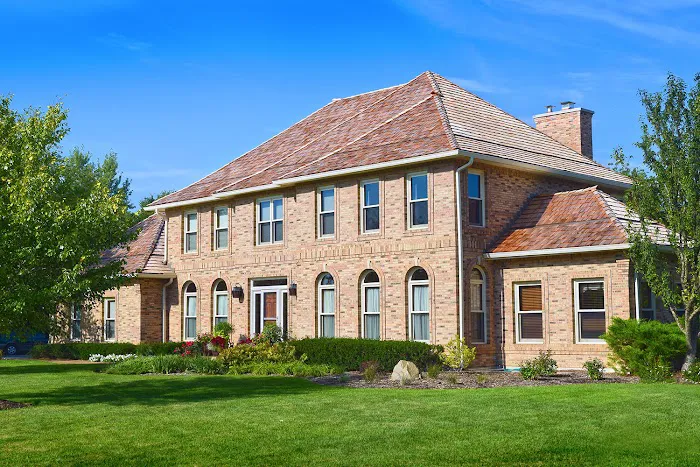 Shake Guys Picture 6