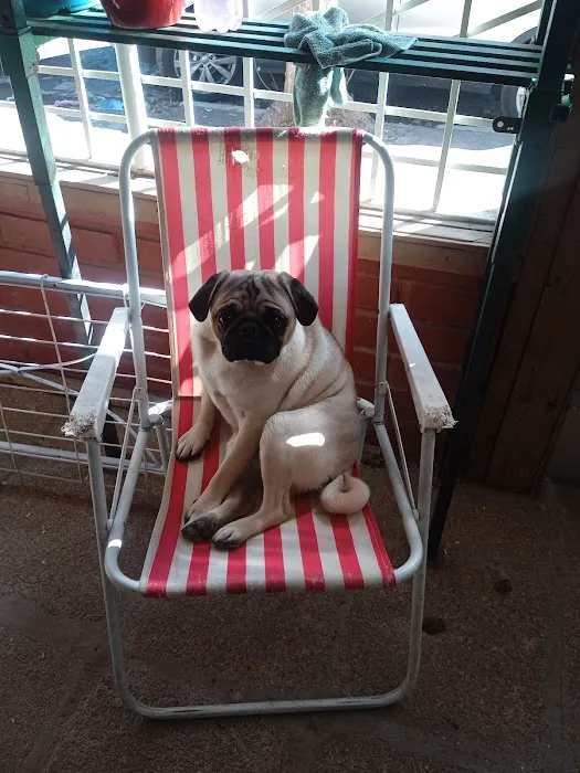 Sherm's Silo Repair & Farm and Town Roofing Picture 5