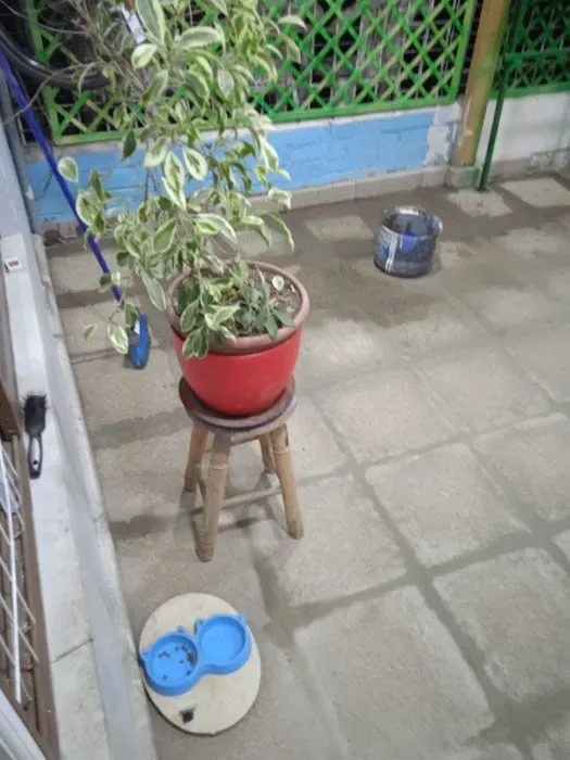 Sherm's Silo Repair & Farm and Town Roofing Picture 2