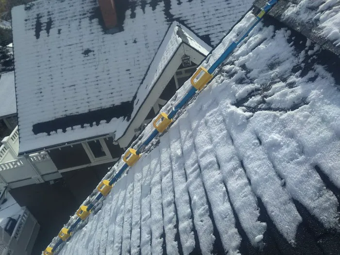 The Goat Steep Assist Picture 2