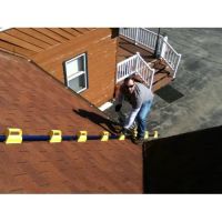 The Goat Steep Assist ico