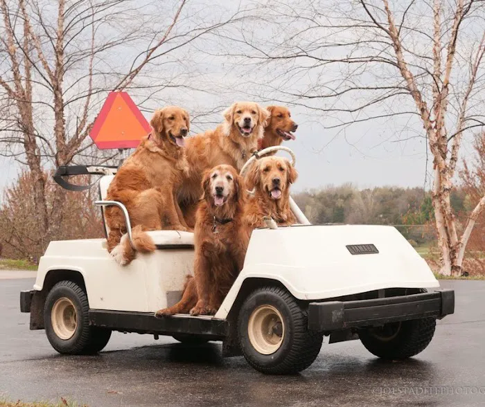 Strander Roofing & Seamless Gutters Picture 7