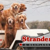 Strander Roofing & Seamless Gutters ico