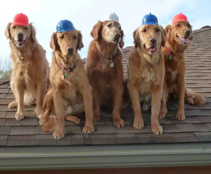 Strander Roofing & Seamless Gutters Picture 3