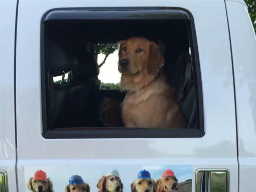 Strander Roofing & Seamless Gutters Picture 5