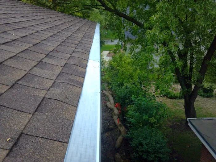 Milwaukee GutterGlove Picture 1