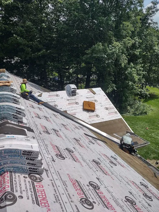 Modern Roofing Picture 2