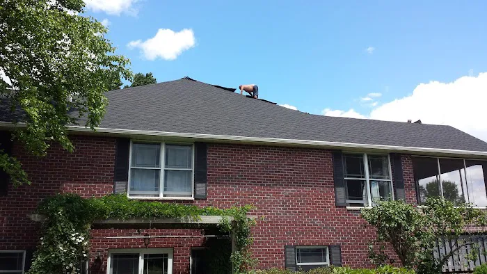 Professional Roofing & Repair, LLC Picture 6