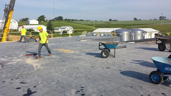 Professional Roofing & Repair, LLC Picture 3