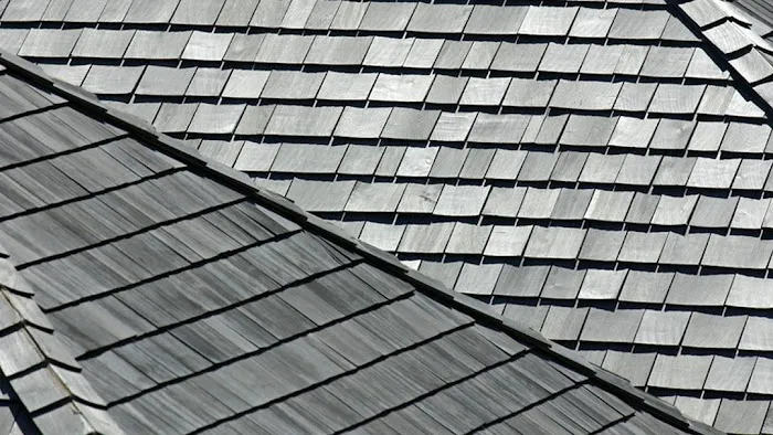 Professional Roofing & Repair, LLC Picture 4