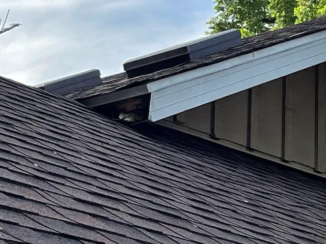 Benchmark Exteriors Picture 8