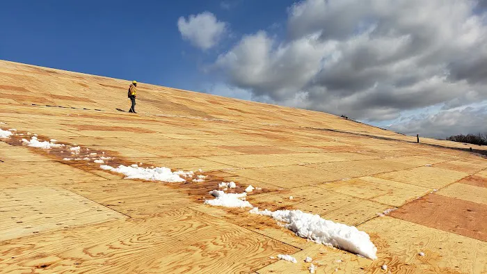 Total Exteriors LLC Picture 9