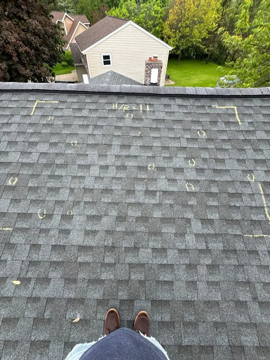 Alex Exteriors LLC Picture 10