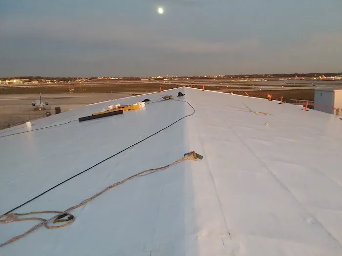 Molina Dynasty Construction Inc. Picture 3