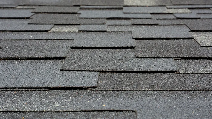 JAM Exteriors Picture 9