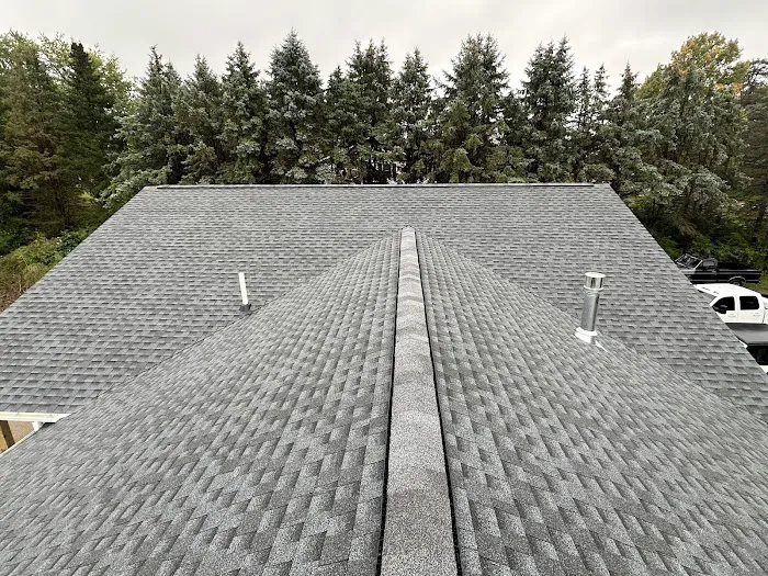 Precision Exteriors Inc (PEI Construction) Picture 10