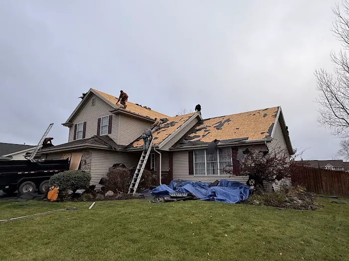 New Standard Restoration, LLC Picture 1