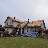 New Standard Restoration, LLC ico