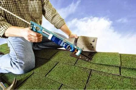 Ripon Area Roofing LLC Picture 5