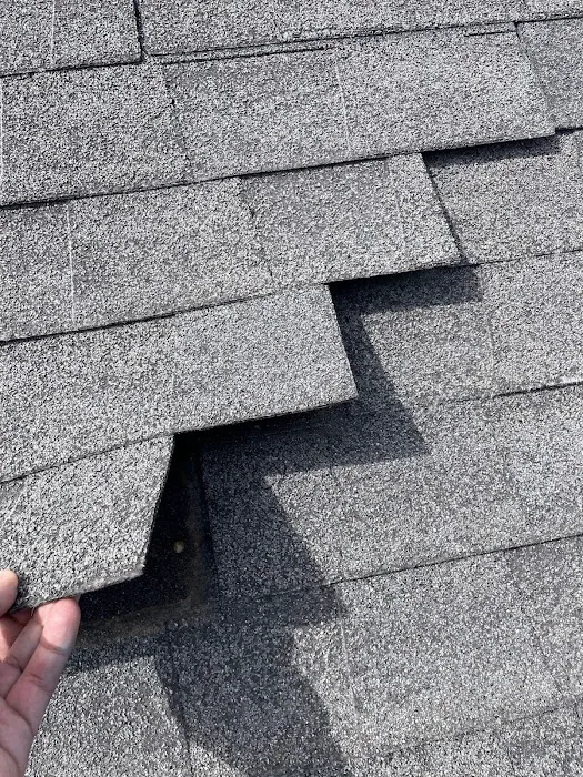 Scaduto Solutions LLC Picture 6