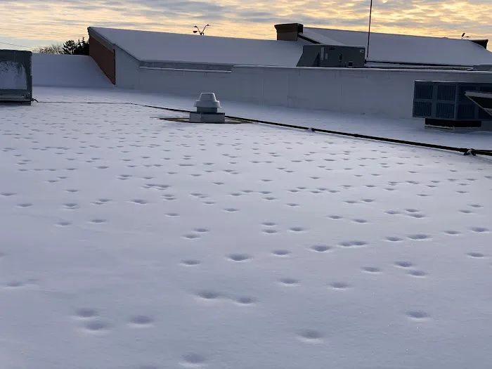 A-1 Roofing Systems Picture 4