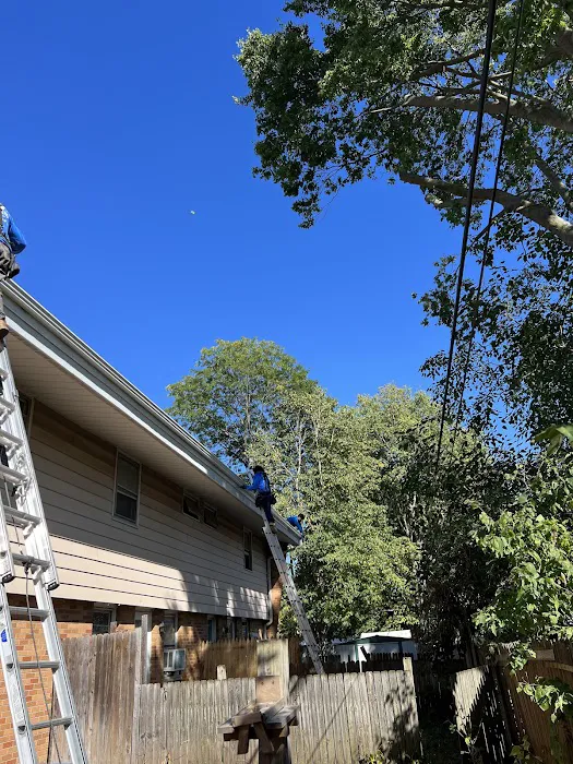 Top Notch Roofing & Exteriors, INC. Picture 4