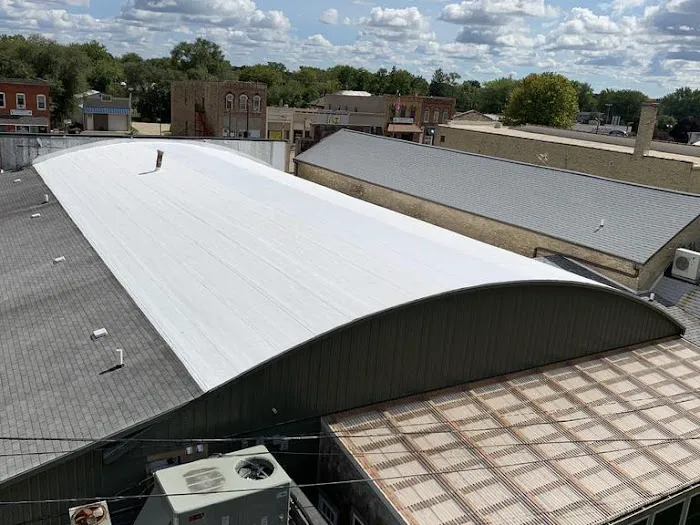 Modern Roof Coating Picture 6