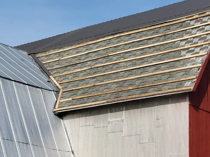 Daryl's Roofing Picture 10