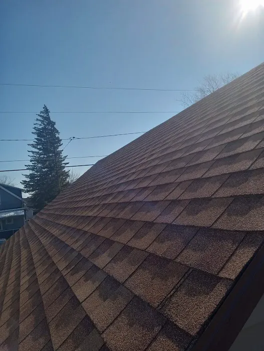Real Care Roofing LLC Picture 3