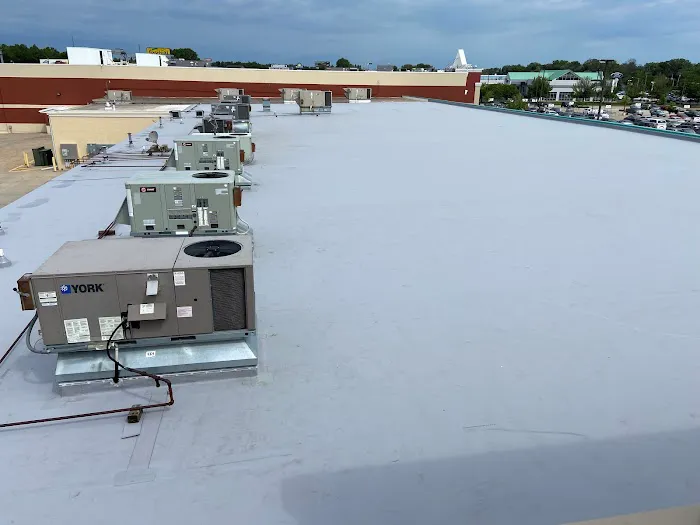 Borsche Roofing Professionals, Inc Picture 1