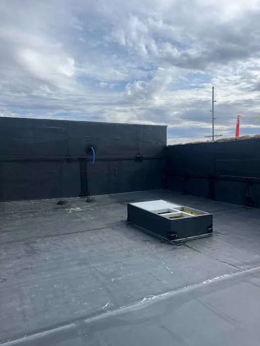 Borsche Roofing Professionals, Inc Picture 9