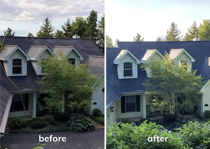 Roof Scientist Picture 5