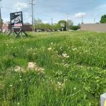 Dempsey Roofing & Siding