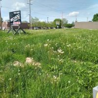 Dempsey Roofing & Siding ico