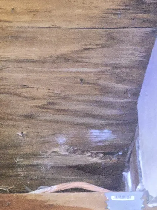 EcoHome Expert, Inc. KANGA ROOF Picture 4