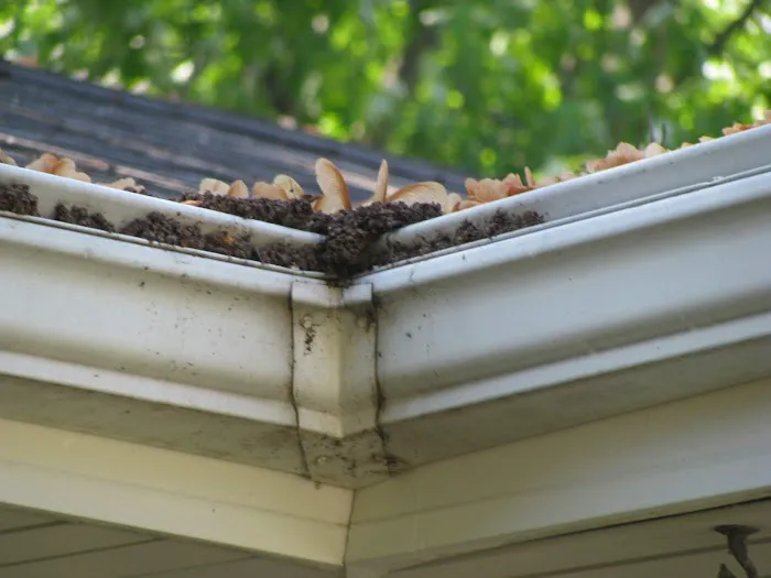 Eisenschink Daniel Picture 3